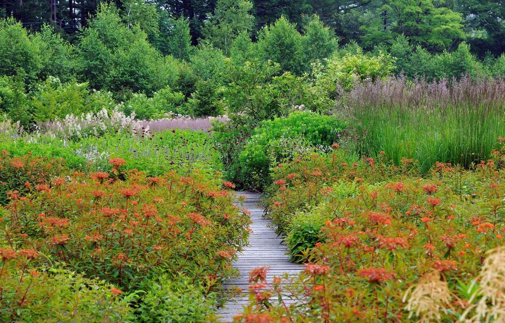 Tokachi Millennium Forest de Dan Pearson